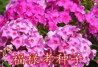 适合发朋友圈的好听文案