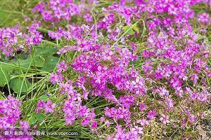 人生哲理小故事：昼夜荣辱各半