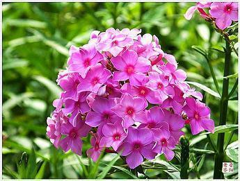 中秋节祝福语简短大全2021年(精选83条)