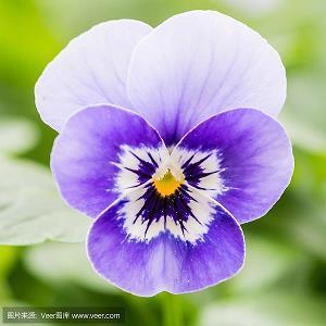 感恩节感恩父母祝福短信大全(精选65条)