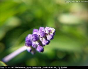 朋友搞笑生日祝福语60句