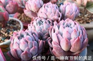 有关战争的名言