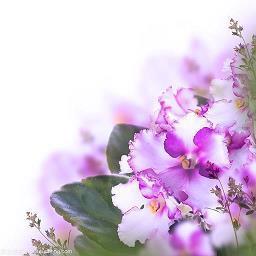 经典朋友生日祝福语