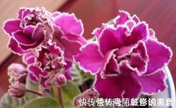 中秋节的祝福语句微信朋友圈(精选58条)