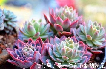 句句触碰心底的经典语句_触碰心灵的伤感句子
