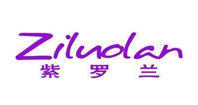 史泰龙经典台词_龙唯美句子