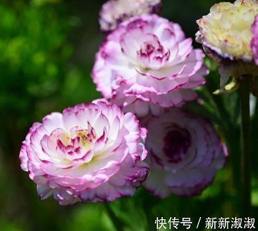 早晨奋斗励志一段话   我跟着我的直觉和好奇心走，遇到的很多东西，此后被证明是无价之宝