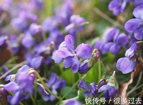 周杰伦详细个人资料