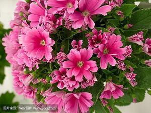 人生感悟的句子唯美女人语录_人生感悟语录唯美
