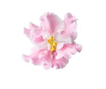 春天环境描写下雨的句子20043条