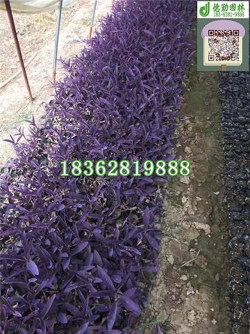 相亲交友宣言最吸引人句子