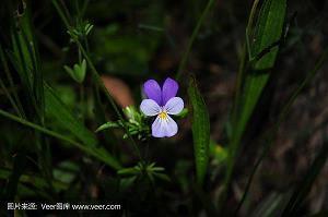 友谊短信问候语