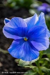 中秋节佳句简短一句话 中秋节说说短句(精选78条)