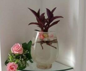 平安夜圣诞节个性创意祝福