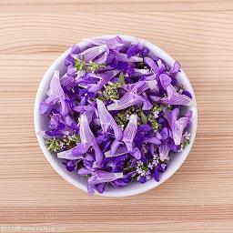 给小学生一年级鼓励的祝福语精选38句