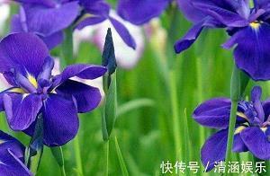 多种多样