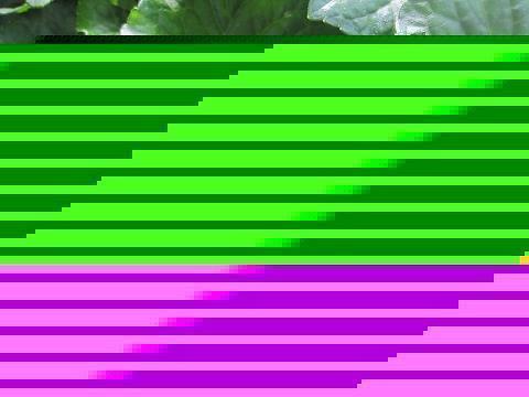 威福由己