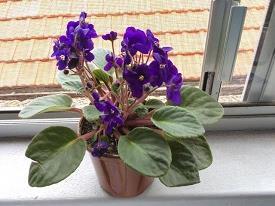 苍茫写一句话