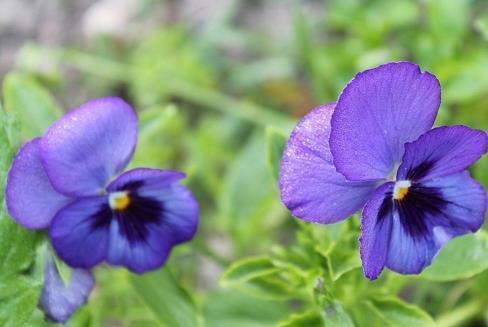 外宣兼职正能量语录_正能量语录