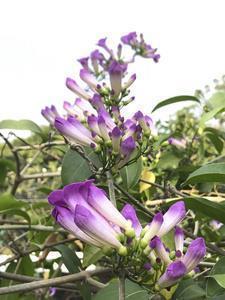 英语短句发朋友圈