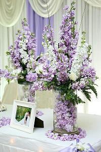 教师节诗句_七夕节的诗句和重阳节的诗句