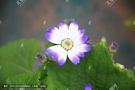 写夜景灯光唯美的句子