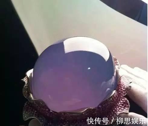课文将心比心有哪些好句子26条