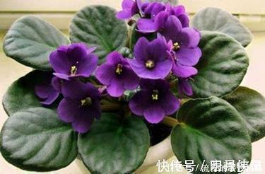 2.14情人节快乐祝福语简短文案