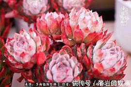 冎
