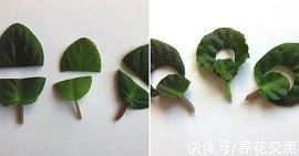 装修奢华的描写句子