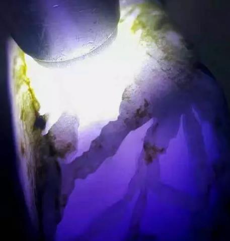 九九重阳节祝福语给老人简短