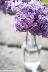 关于写作业的搞笑说说大全