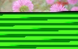 燢