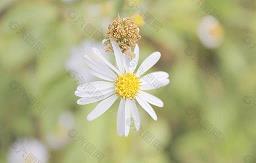 早上给朋友问候短信