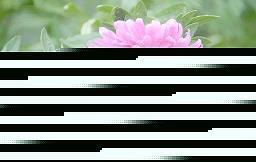 一息万变