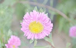 為