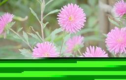 关于时间的格言