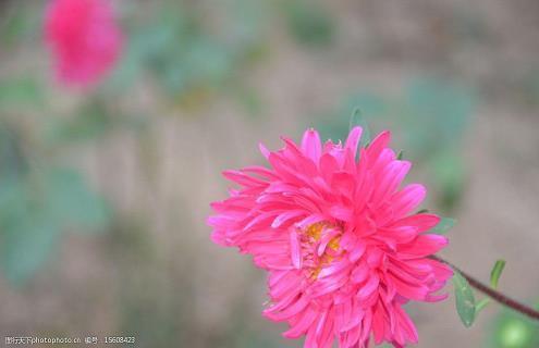 疫情期间元宵节简短祝福语文案