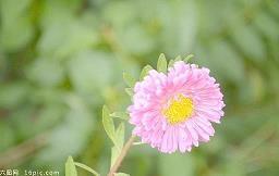 5.12护士节发朋友圈 护士节送给医护人员的祝福语合集85句