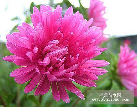 新学期新打算名人名言52条