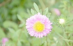 愚人节短信整蛊大全