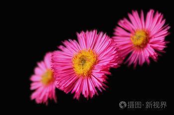 什么样的阳光优美句子