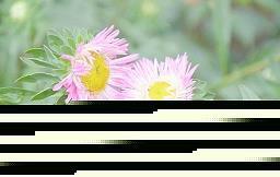 让自己坚强起来的说说 任何打击都不应该成为你堕落的借口