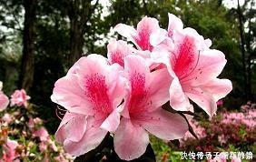 认真工作的说说句子