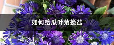 韩愈人物轶事