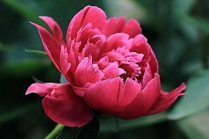 2021重阳节暖心文案说说(精选97句)