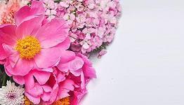 不忘初心的名言短句子 不忘初心的励志句子