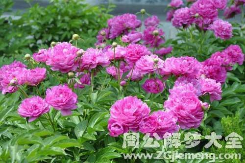 大话西游之月光宝盒经典台词对白语录_月光宝盒的句子简短