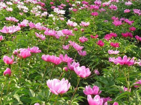 节电标语