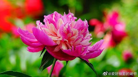 【推荐】六一儿童节祝福语一句话汇编110句